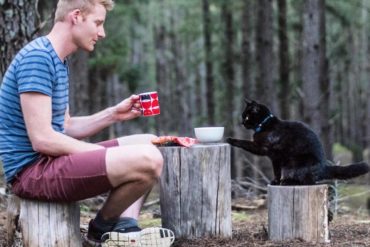 Katze reist im Campervan durch Australien