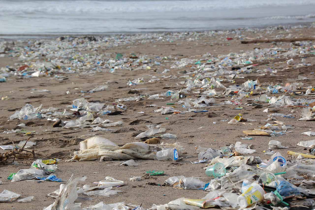 Müll Strand Arktis