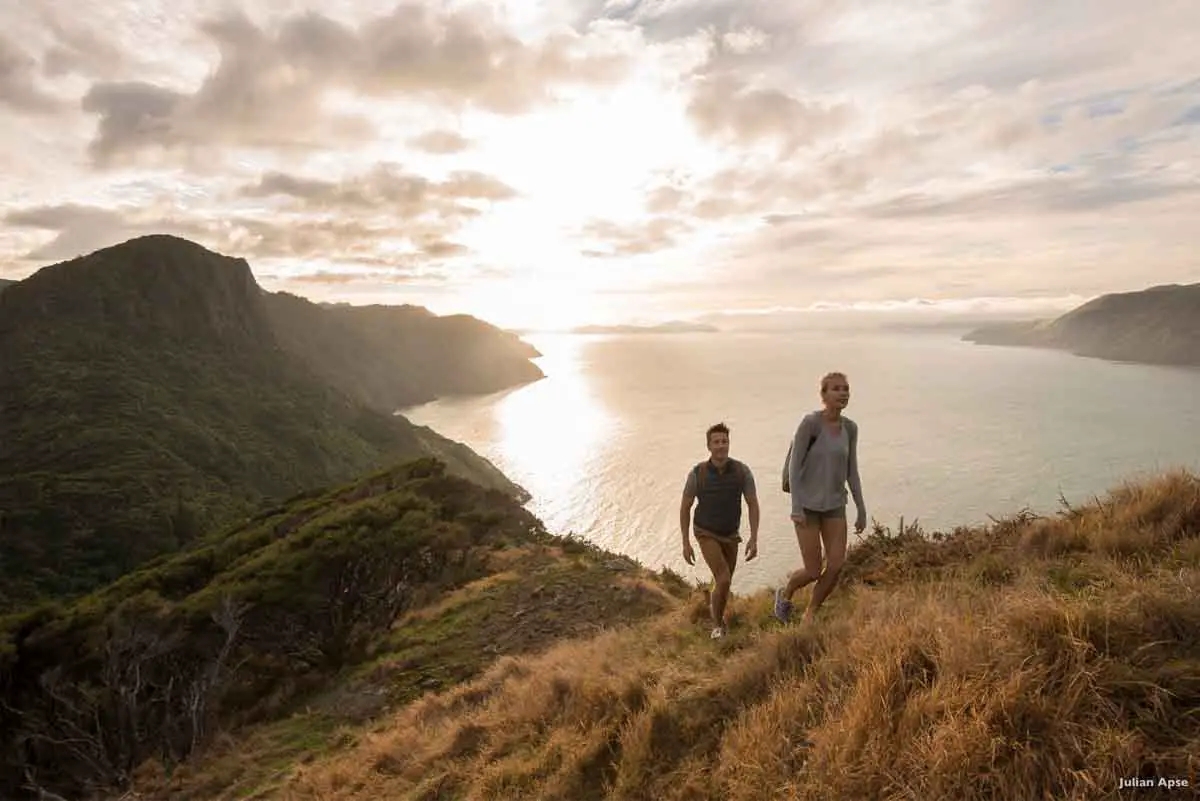 Neuseeland Highlights Waitakere Ranges