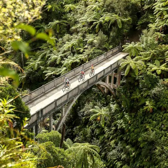 Neuseeland Nordinsel Sehenswuerdigkeiten