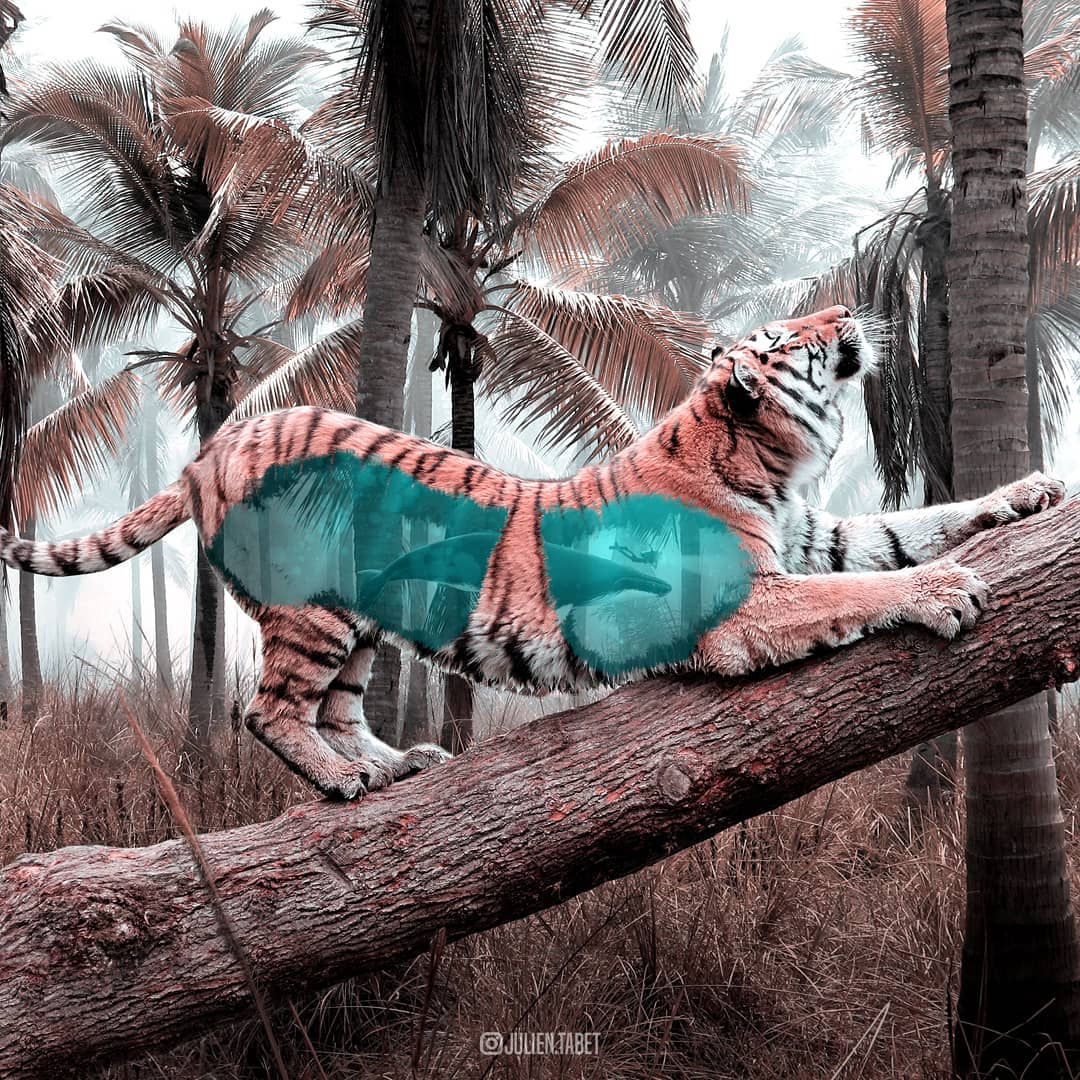 Blauer Tiger