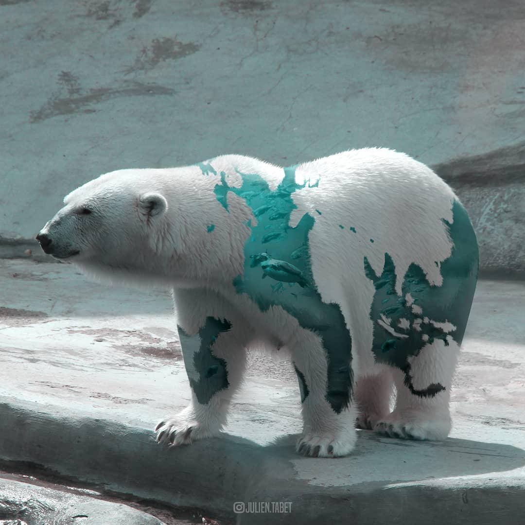 Eisbär mit Aquarium im Bauch