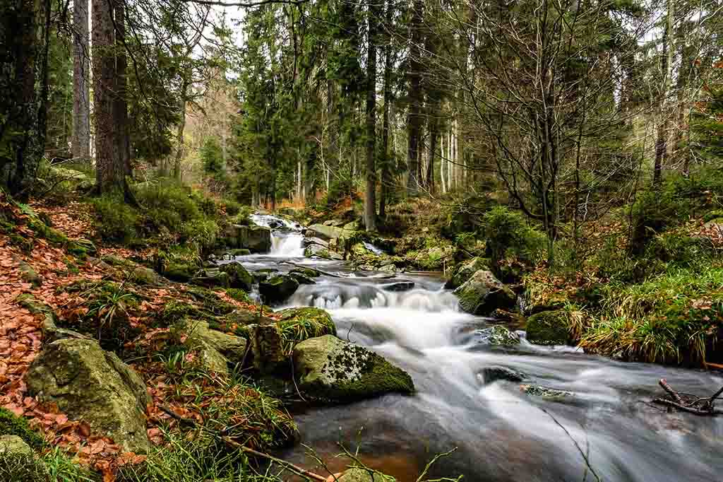 Schönste Nationalparks in Deutschland Harz