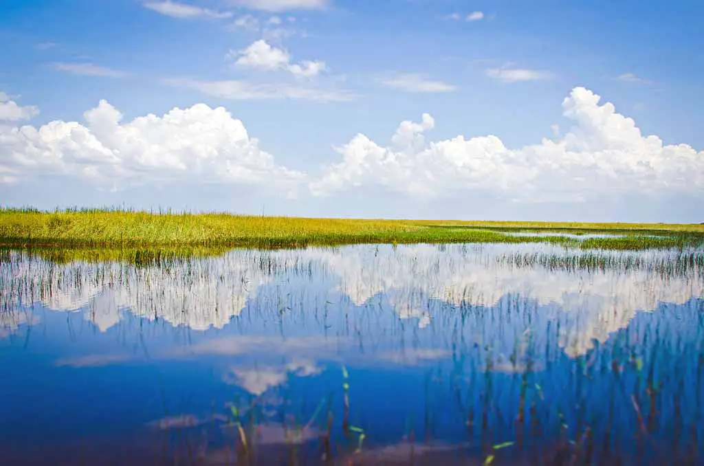 Amerika Nationalparks Florida Everglades Nationalpark