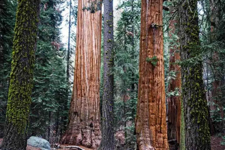 Das Sind Die 18 Schönsten Nationalparks Der Usa