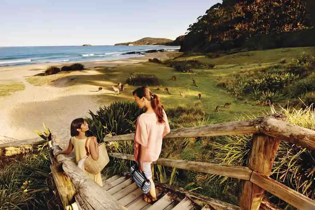 New South Wales Reiseziele Australien Pebbly Beach Murramarang Nationalpark