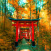 Fushimi Inari-Taisha Tempel in Japan