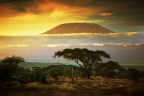 Kenia Reise - Das Musst Du Unbedingt Beachten!