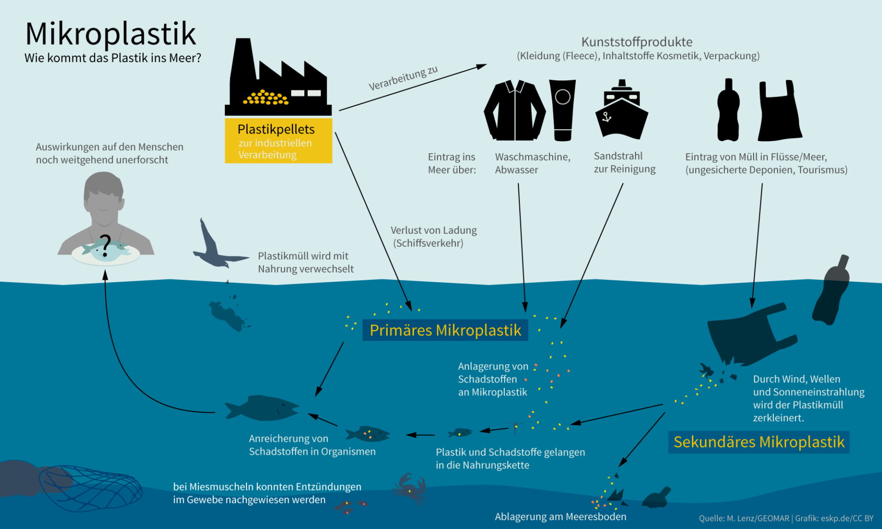 Plastik im Meer Infografik