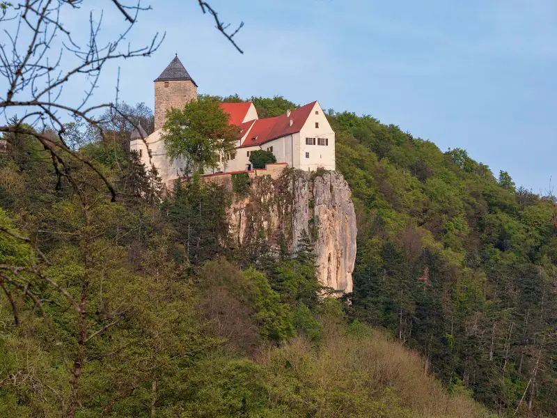 Burg Prunn umgeben von Wald